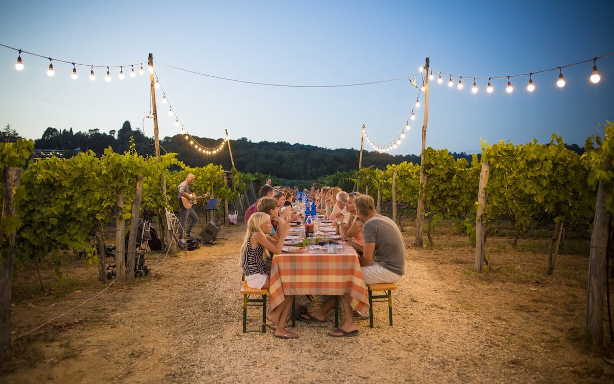 Cena O Aperitivo In Vigna In Toscana 15 Pic Nic Dal Chianti Alle Terre