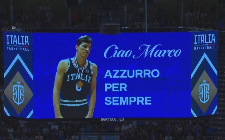 PalaDozza, Marco Bonamico