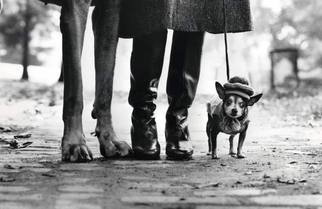 Elliott_Erwitt_Central_Park_New_York_1974.jpg