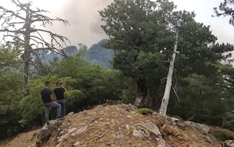 Il fumo causato da un incendio vicino al santuario di Polsi