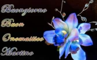 un'immagine per augurare san martino