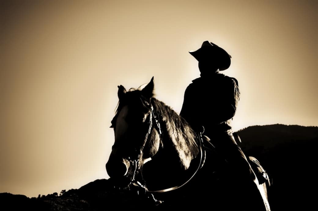 CowboyOnHorse_StandGraphic1_-_Copy.jpg