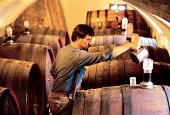 Winemaking process of Chianti wine in a Volpaia winery, Radda in Chianti, Tuscany, Italy.