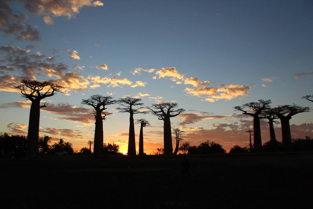Madagascar. Foto di gemmmm 🖤 su Unsplash