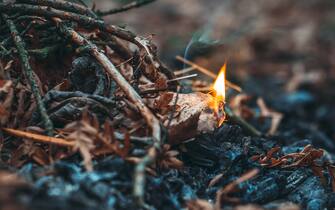 The beginning of a forest fire due to the ignition of a dry leaf and branches in an autumn forest close-up. Flame of fire in nature, risk of natural disaster in woodland or taiga.