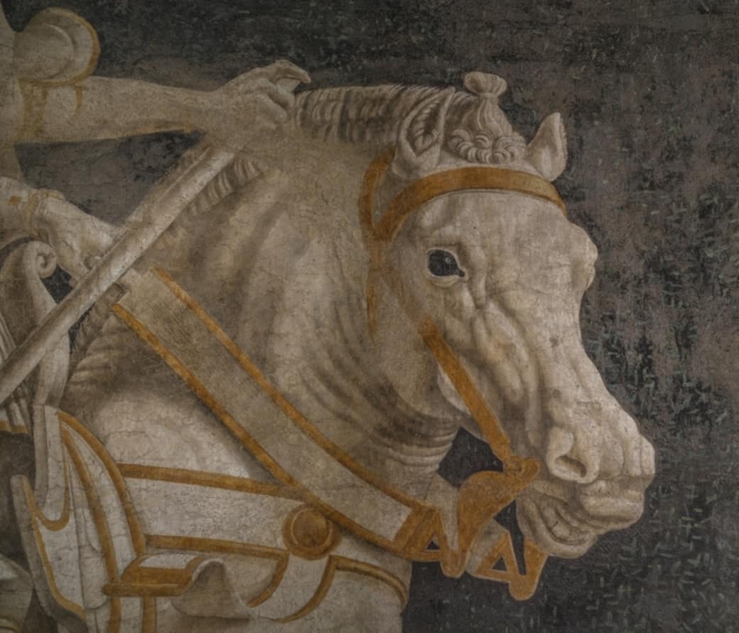 Andrea_del_Castagno_Niccolò_da_Tolentino_dopo_il_restauro._ph._A._Quattrone_4NE6851.jpg
