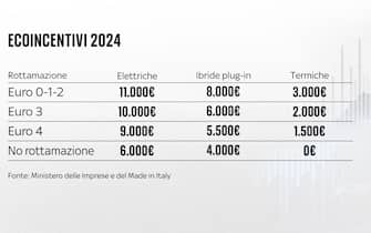 auto elettriche incentivi