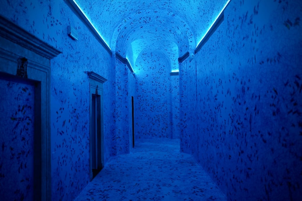 1_PietroRuffo_EMOTION_photoadicorbetta.jpg