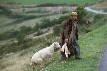 Shepherd with lamb and sheep, Giara, Sardinia, Italy.