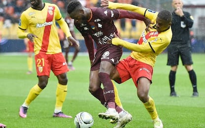 Metz-Lens HIGHLIGHTS