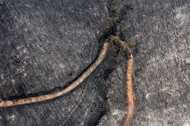 A road passes through burnt trees in a forest area following a wildfire near the village of Avantas, Alexandroupolis, Greece, on Monday, Aug. 28, 2023. With more than 72,000 hectares burnt, the Alexandroupolis wildfire in Evros is the largest on record in the EU. Photographer: Konstantinos Tsakalidis/Bloomberg via Getty Images