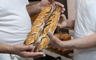 panettieri