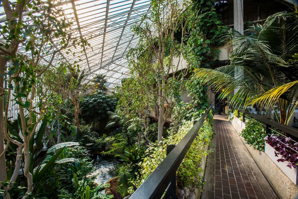 Londra, Barbican Conservatory. Credit photo © Max Colson