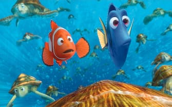 alla ricerca di nemo film