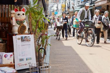 1. Il quartiere “gattaro” di Tokyo