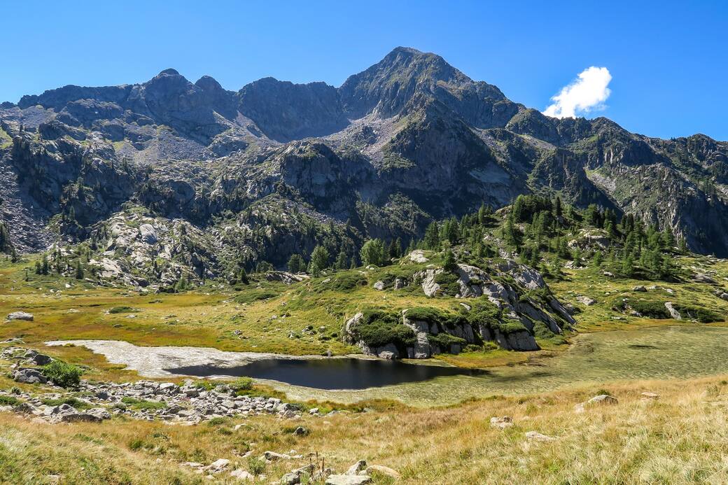 VALLE_D_AOSTA-Riserva_Naturale_Mont_Mars_(Arch._Reg.Autonoma_VdA)-0615.jpg