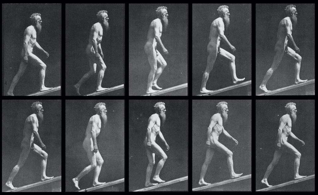 Un dettaglio della copertina di “Un fiume di ombre. Eadweard Muybridge, un fotografo nel selvaggio, tecnologico West”