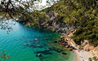 cala del gesso spiagge toscana