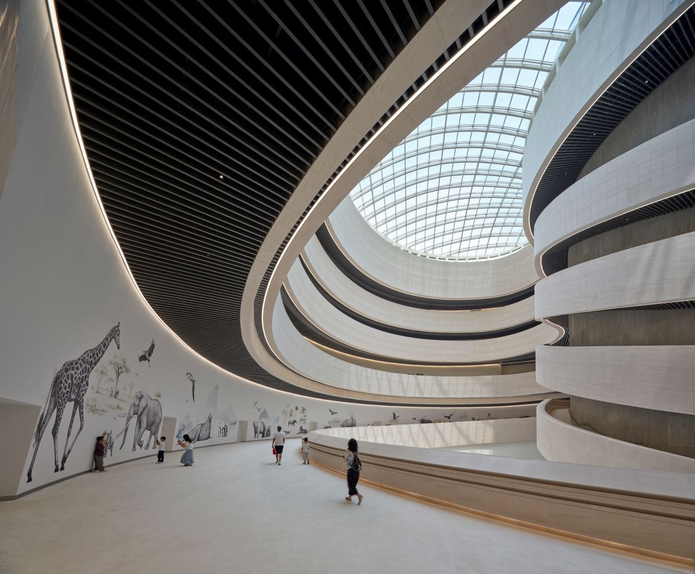 Shenzhen Natural History Museum: South China’s Largest New Landmark
