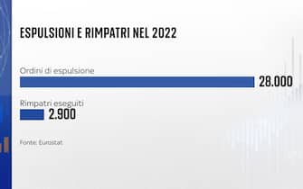 grafica