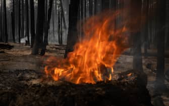 Dixie Fire California Greenville