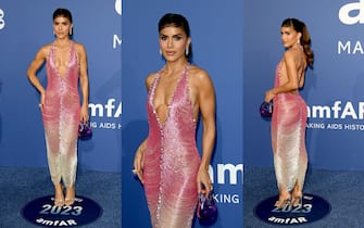 11_amfar_gala_2023_red_carpet_look_ipa - 1