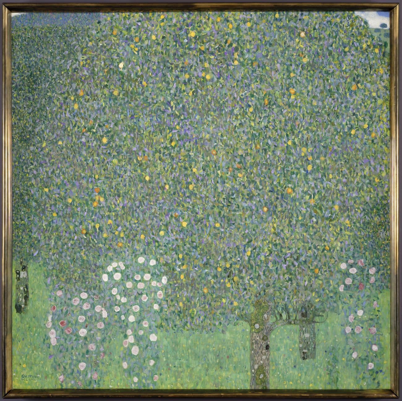 Gustav-Klimt-1862-1918-Rosiers-sous-les-arbres-Vers-1905-Huile-sur-toile-H.110-L.110-cm-©-RMN-Grand-Palais-Musée-dOrsay-Patrice-Schmidt.jpg