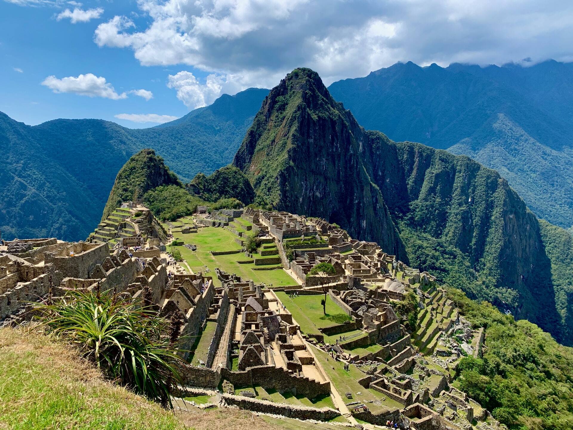 Photo_by_Agnieszka_Mordaunt_on_Unsplash.jpeg