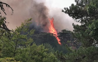 Il santuario di Polsi