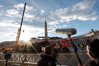 A fir tree from the Piemonte region is erected to serve as a Christmas tree in St. Peter's Square, Vatican,  23 November 2023. A
ANSA/GIUSEPPE LAMI