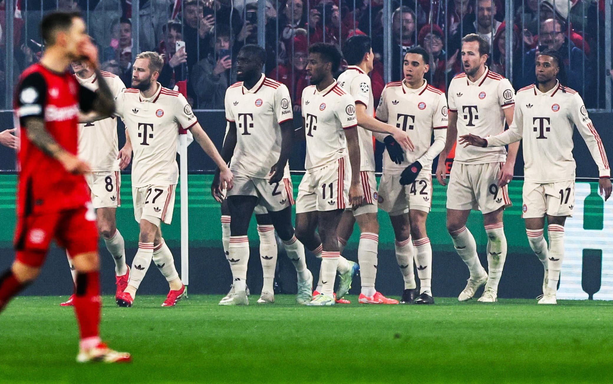 Kane Bayern