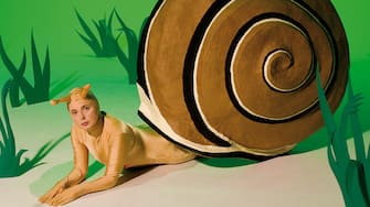 Green Porno Green Porno  Year: 2008 -  USA Isabella Rossellini  Director: Isabella Rossellini Short