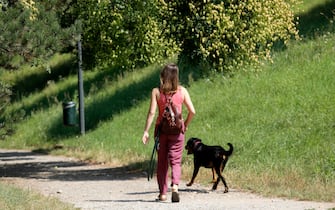 Persona fa camminata al parco