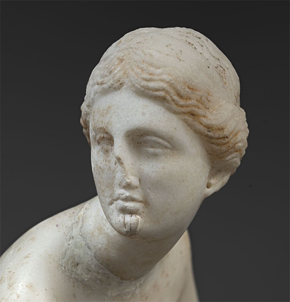 Venere-Oplontis-dettaglio-testa.jpg
