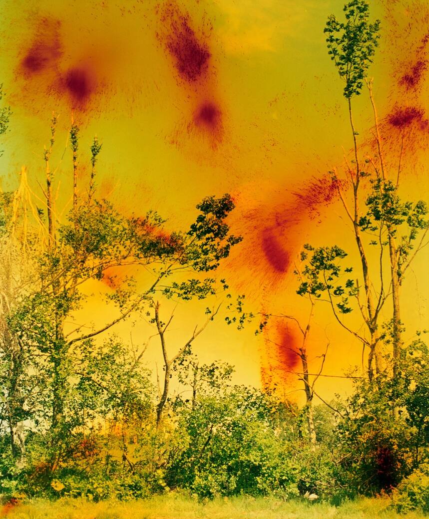 Icestorm_(2001)._Image_courtesy_of_the_artist_David_Zwirner_New_York_Hong_Kong_Galerie_Buchholz_Berlin_Cologne_Maureen_Paley_London.jpeg