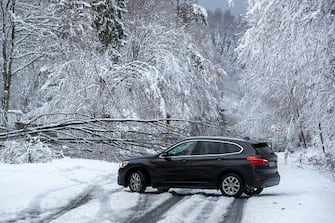 dpatop - 28 November 2023, Hesse, Oberursel: A fallen tree is blocking the L3008 federal highway in the direction of Taunus-Feldberg. Snow and icy roads have caused chaotic conditions in parts of Germany. Hesse is particularly affected. Photo: Helmut Fricke/dpa (Photo by Helmut Fricke/picture alliance via Getty Images)