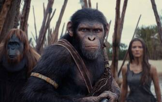 KINGDOM OF THE PLANET OF THE APES
