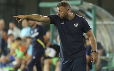 Dove vedere Hellas Verona-Torino