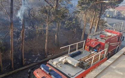 Incendi in Sicilia, roghi in provincia di Palermo e Messina