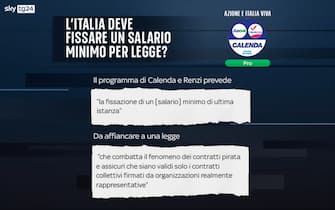Elezioni programmi partiti salario minimo
