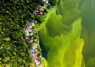 The loss of a Lake