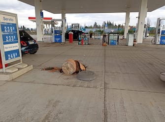 Scontri tra tifosi della Roma e del Napoli nell'area di servizio Badia al Pino, vicino Arezzo, sull'Autostrada del Sole: un ferito è stato portato all'ospedale di Arezzo. All'origine degli scontri, secondo quanto si apprende dalla Questura di Arezzo, l'agguato teso da un gruppo di ultrà del Napoli ai
romanisti in transito per raggiungere Milano: ne è nato poi un lancio reciproco di sassi e lacrimogeni, 8 gennaio 2023. ANSA/BARBARA PERISSI