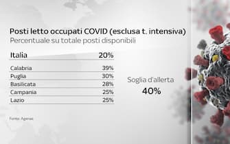 Covid, le grafiche con i dati del 13 maggio: la saturazione dei posti letto