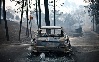 Incendio in Portogallo, oltre 60 morti tra i quali 4 bambini