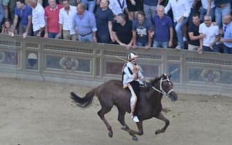 The monkey of Contranda of Lupa  named  Dino Pes    of nickname Velluto on  Benitos  wins the historical Italian horse race Palio di Siena, in Siena, Italy, 17 August 2024. The traditional horse race takes place on 17 August as the 'Palio dell'Assunta' during the holidays for the Assumption of Mary.
ANSA/CLAUDIO GIOVANNINI