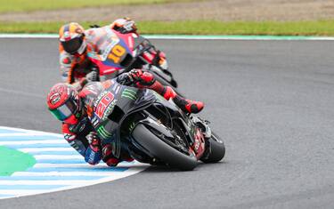 QUARTARARO E MARINI 4