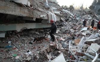 epa10459343 A member of the Spanish search and rescue team inspects the area of a building collapse in the aftermath of a powerful earthquake in Hatay, Turkey 10 February 2023. Over 22,000 people were killed and thousands more were injured after two major earthquakes struck southern Turkey and northern Syria on 06 February. Authorities fear the death toll will keep climbing as rescuers look for survivors across the region.  EPA/ERDEM SAHIN