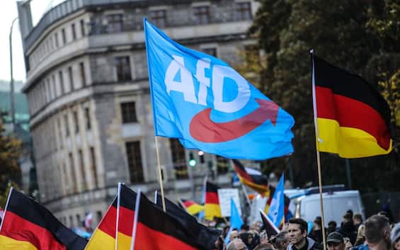 Germania, Afd: cosa pensano i tedeschi del partito di estrema destra