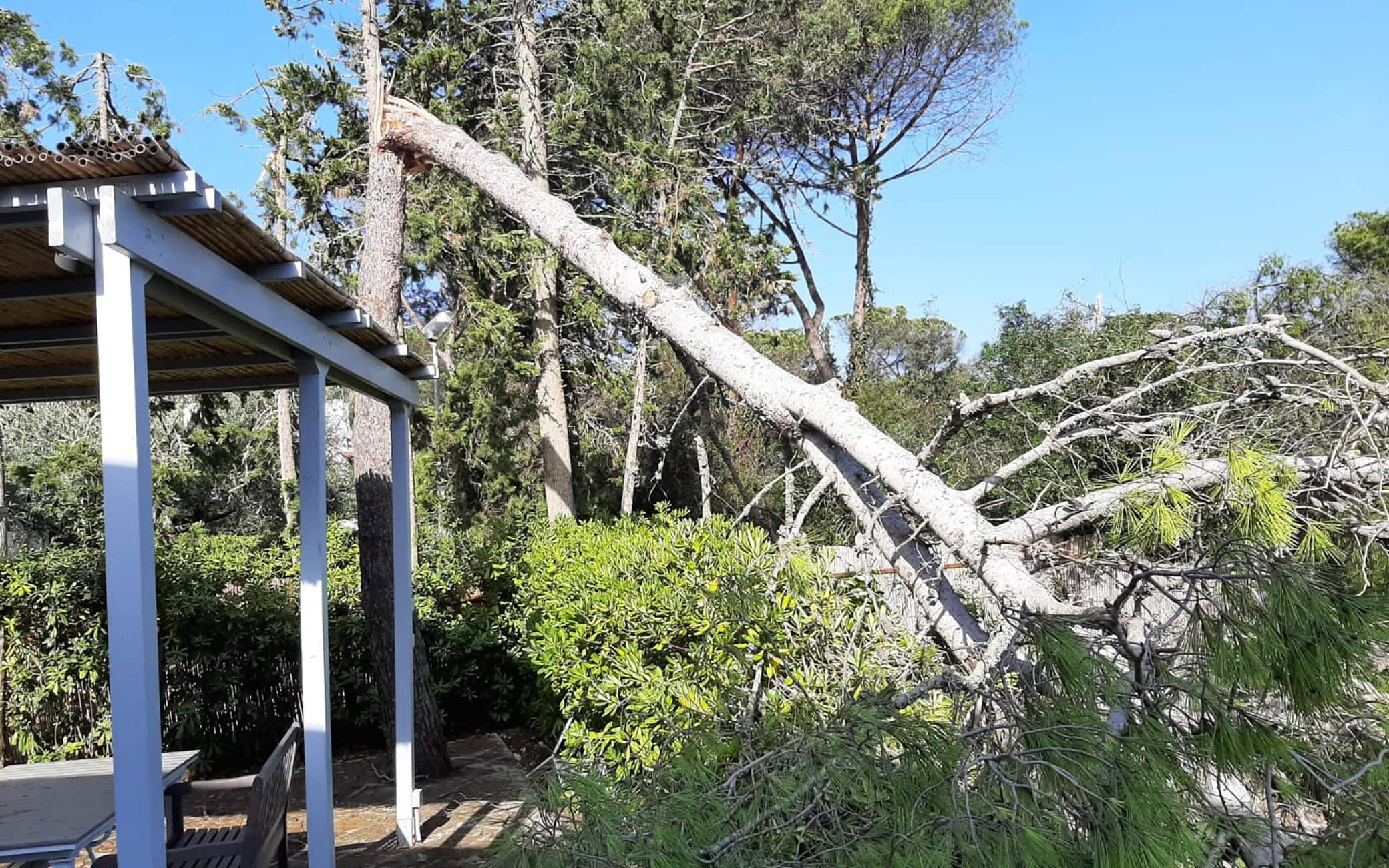 Un violento temporale si è abbattuto nella notte sul litorale pontino, con forti raffiche di vento e piogge molto intense che hanno creato danni a cose e strutture in particolare a Sabaudia e a Borgo Grappa (Latina). Roma 16 agosto 2022.  ANSA/LUCIA MANCA