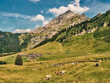 5. Taveyanne, il villaggio senza elettricità